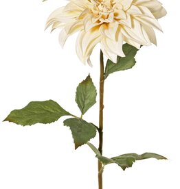 Dahlia 'Green Fall' met 1 bloem, Ø 15 cm, 7 bladeren, 66 cm