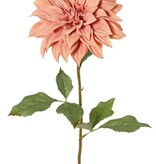 Dahlia 'Green Fall' met 1 bloem, Ø 15 cm, 7 bladeren, 66 cm