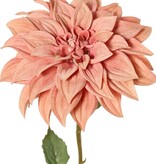 Dahlia 'Green Fall' met 1 bloem, Ø 15 cm, 7 bladeren, 66 cm