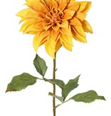 Dahlia 'Green Fall' met 1 bloem, Ø 15 cm, 7 bladeren, 66 cm