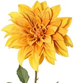 Dahlia 'Green Fall' met 1 bloem, Ø 15 cm, 7 bladeren, 66 cm