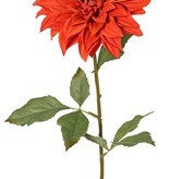 Dahlia 'Green Fall' met 1 bloem, Ø 15 cm, 7 bladeren, 66 cm