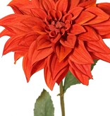 Dahlia 'Green Fall' met 1 bloem, Ø 15 cm, 7 bladeren, 66 cm