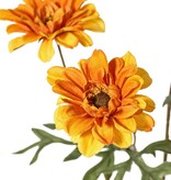 Chrysant medium 'Green Fall', met 5 bloemen (3 L 6.5cm/ 2 M 5cm) & 7 blaadjes, 75 cm