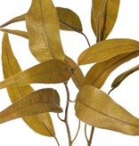 Eucalyptus branch 'Green Fall', 2x branched with 18 leaves, 87 cm