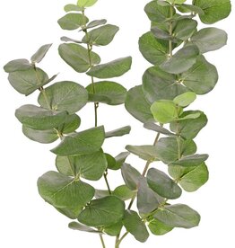 Euclaytustak (Gomboom) 'Ming', 4x vertakt, met 68 polyester bladeren, UV bestendig