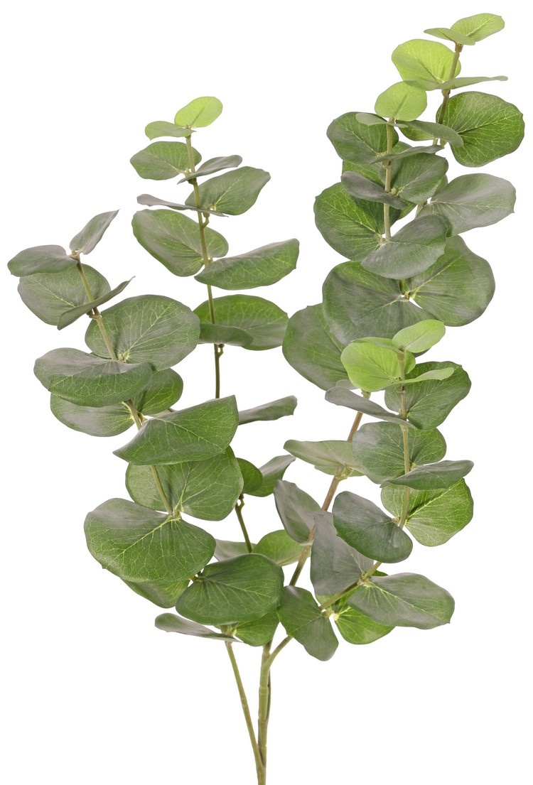Euclaytus-Zweig (Gummibaum) 'Ming', 4-fach verzweigt, mit 68 Polyesterblättern, UV-sicher
