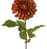 Dahlie Ø 13 cm, Samt, 'Glamour' mit 3 Blattsets, 58 cm