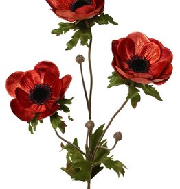 Anemone, Samt, 'Glamour' 3 Blüten, 3 Knospen, 2 Blätter, 73 cm