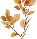 Beukentak 'Fall', 2x vertakt met 24 polyester bladeren, 70 cm, steel 30 cm