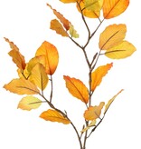 Beech branch, 2x branched with 24 leaves, 70 cm, stem 30 cm