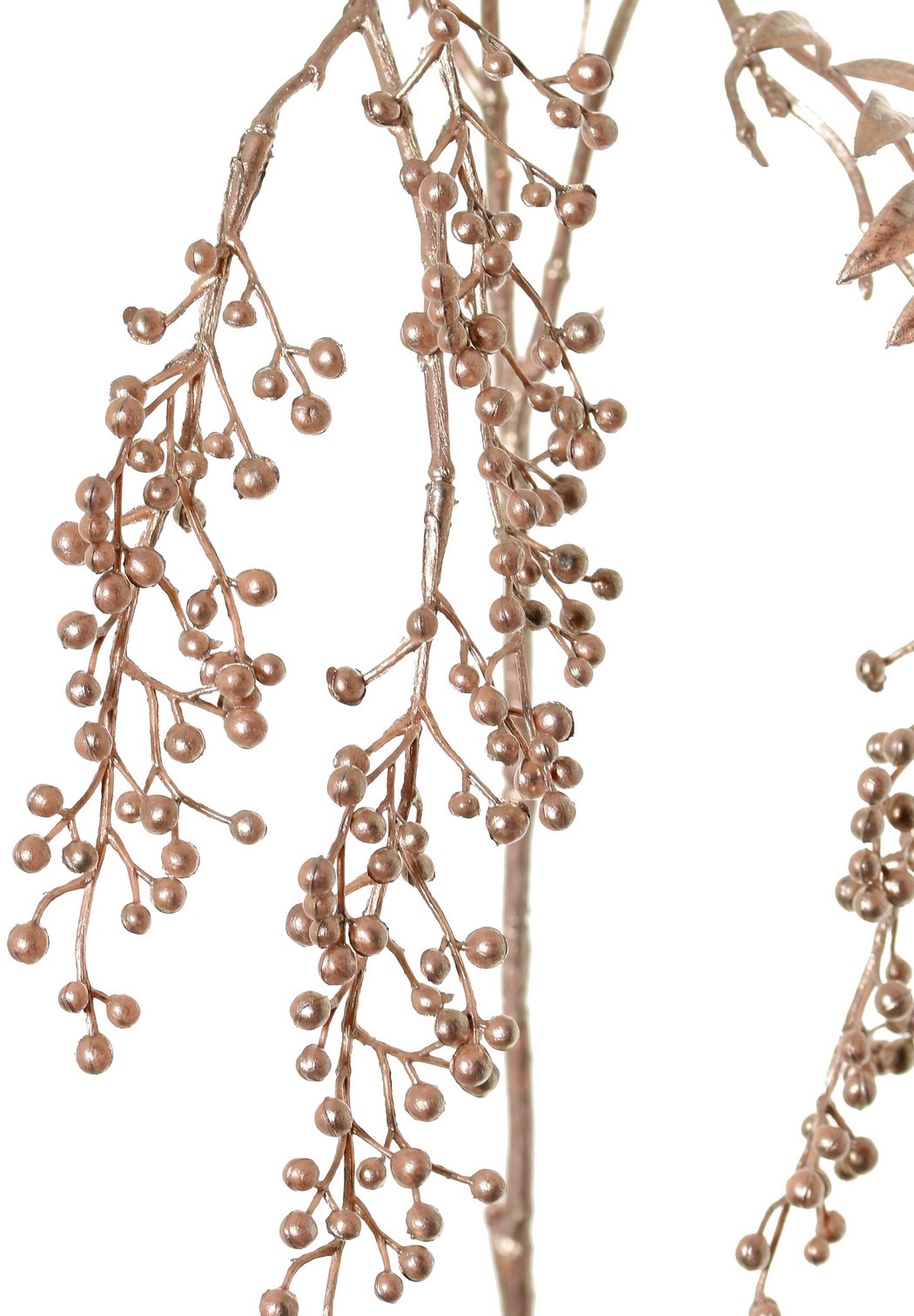 Pfefferbeerenzweig 'Light Metallic', 5 Blütenständen (15 cm) & 3 Blattsätze, (1 Stk. Beutel) 81cm