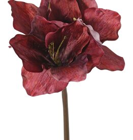 Amaryllis (Hippeastrum) 'Indy', 3 flores de poliéster 10 x 10 cm, 65 cm