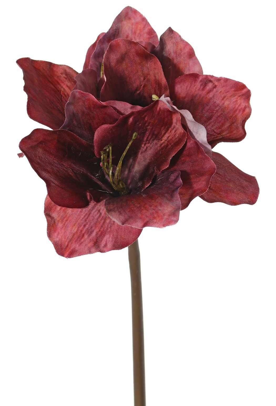 Amaryllis (Hippeastrum) 'Indy', 3 flores de poliéster 10 x 10 cm, 65 cm