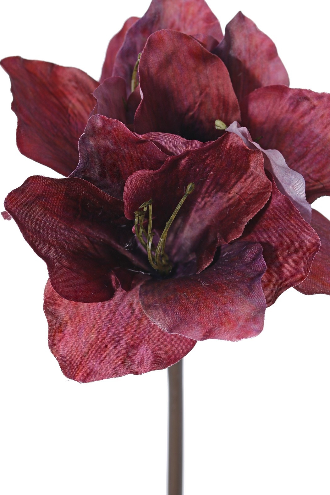 Amaryllis (Hippeastrum) 'Indy', 3 flores de poliéster 10 x 10 cm, 65 cm