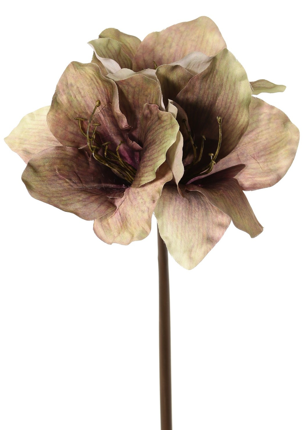 Amaryllis (Hippeastrum) 'Indy', 3 flores de poliéster 10 x 10 cm, 65 cm