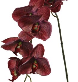 Phalaenopsis 'Indy' with 6 polyester flowers, 1 flower bud & 2 plastic buds, 80 cm