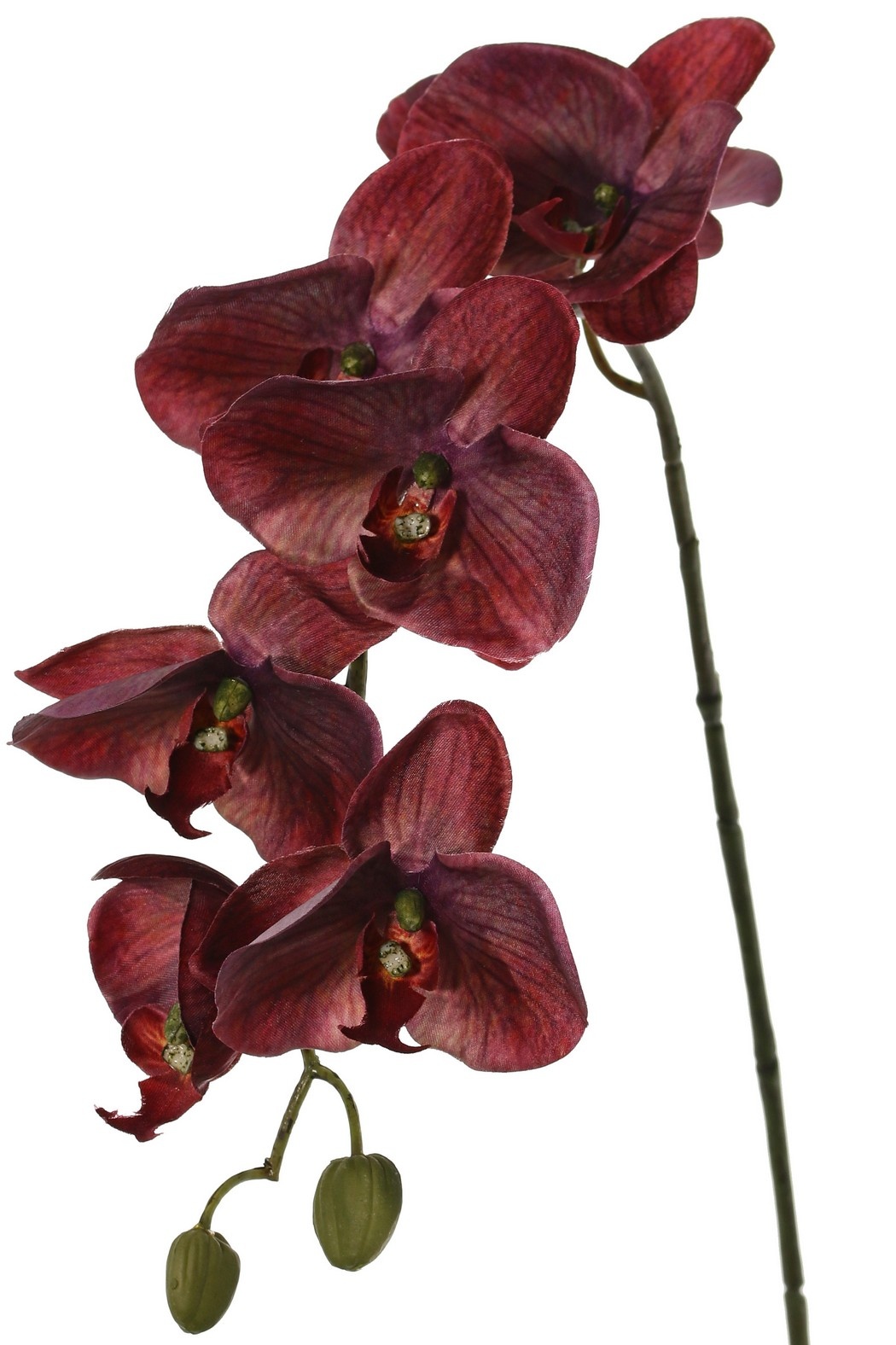 Phalaenopsis 'Indy' with 6 polyester flowers, 1 flower bud & 2 plastic buds, 80 cm