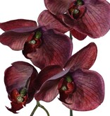 Phalaenopsis 'Indy' with 6 polyester flowers, 1 flower bud & 2 plastic buds, 80 cm