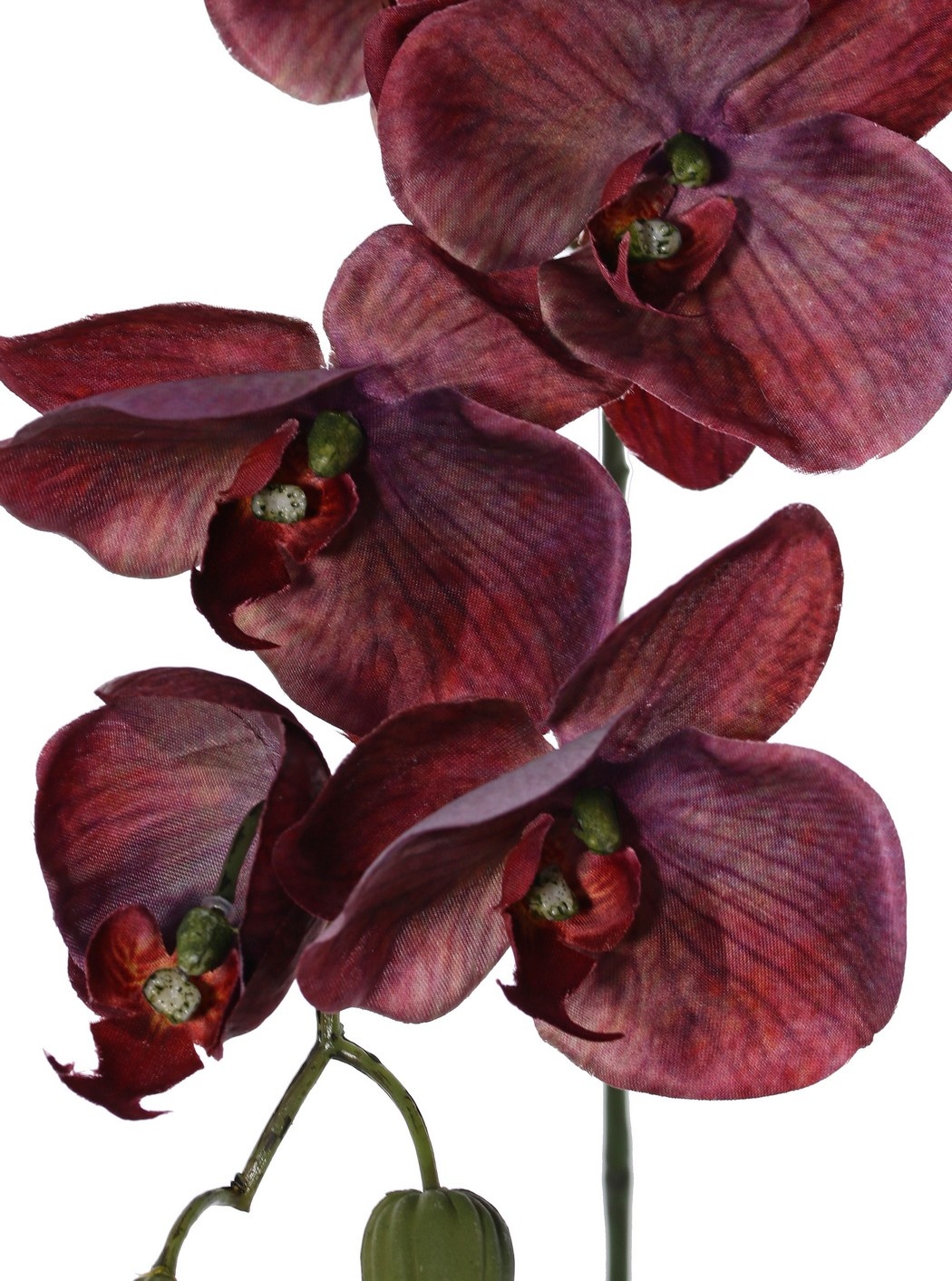 Phalaenopsis 'Indy' with 6 polyester flowers, 1 flower bud & 2 plastic buds, 80 cm