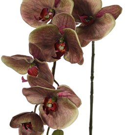 Phalaenopsis 'Indy' with 6 polyester flowers, 1 flower bud & 2 plastic buds, 80 cm