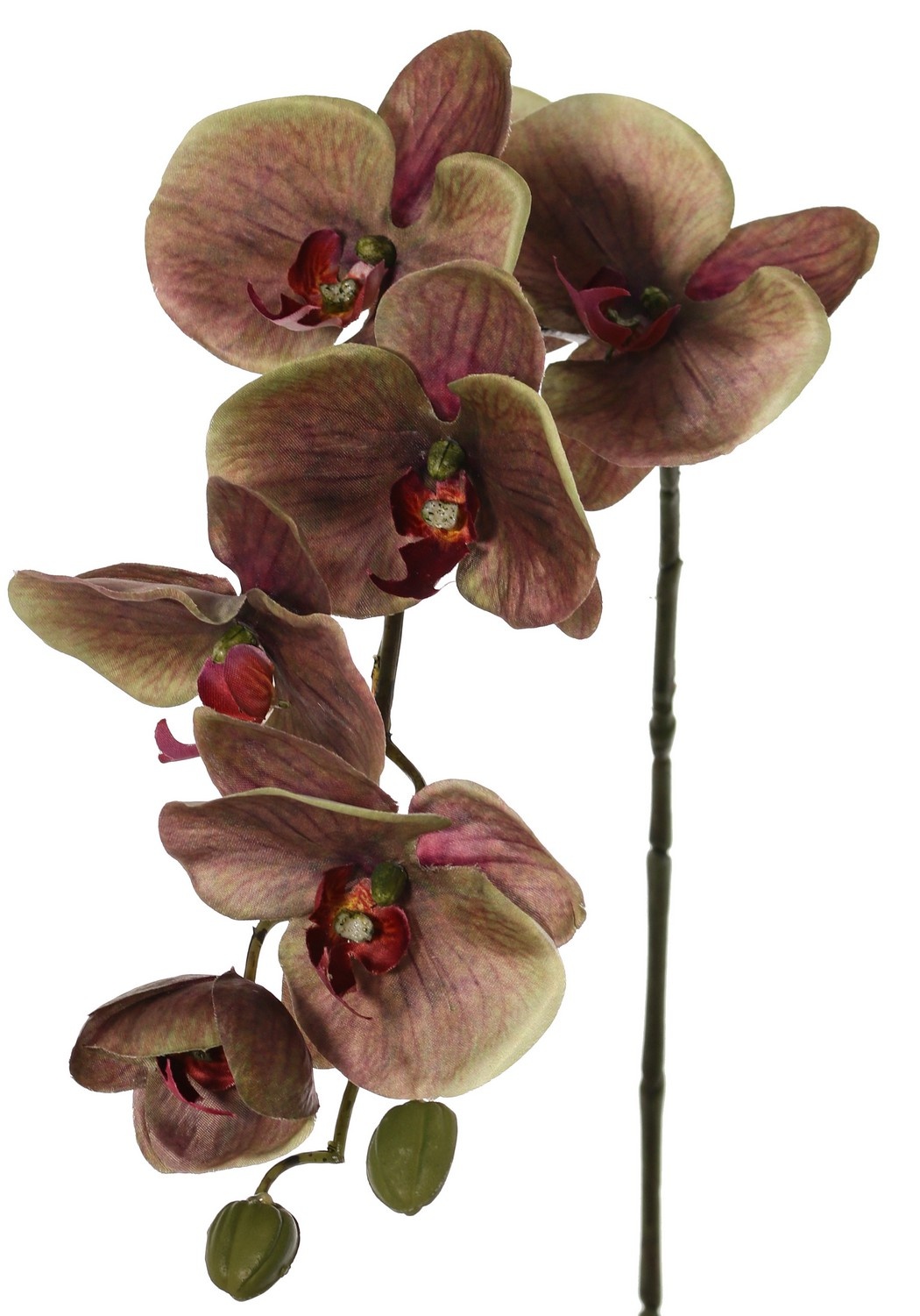 Phalaenopsis 'Indy' with 6 polyester flowers, 1 flower bud & 2 plastic buds, 80 cm