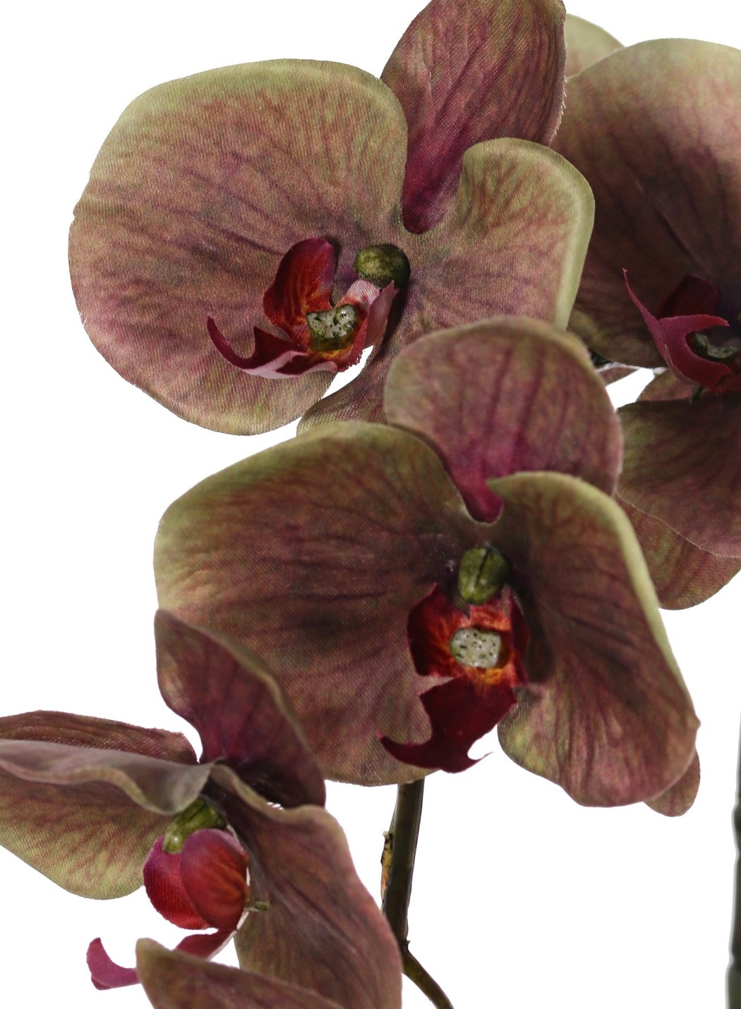 Phalaenopsis 'Indy' with 6 polyester flowers, 1 flower bud & 2 plastic buds, 80 cm