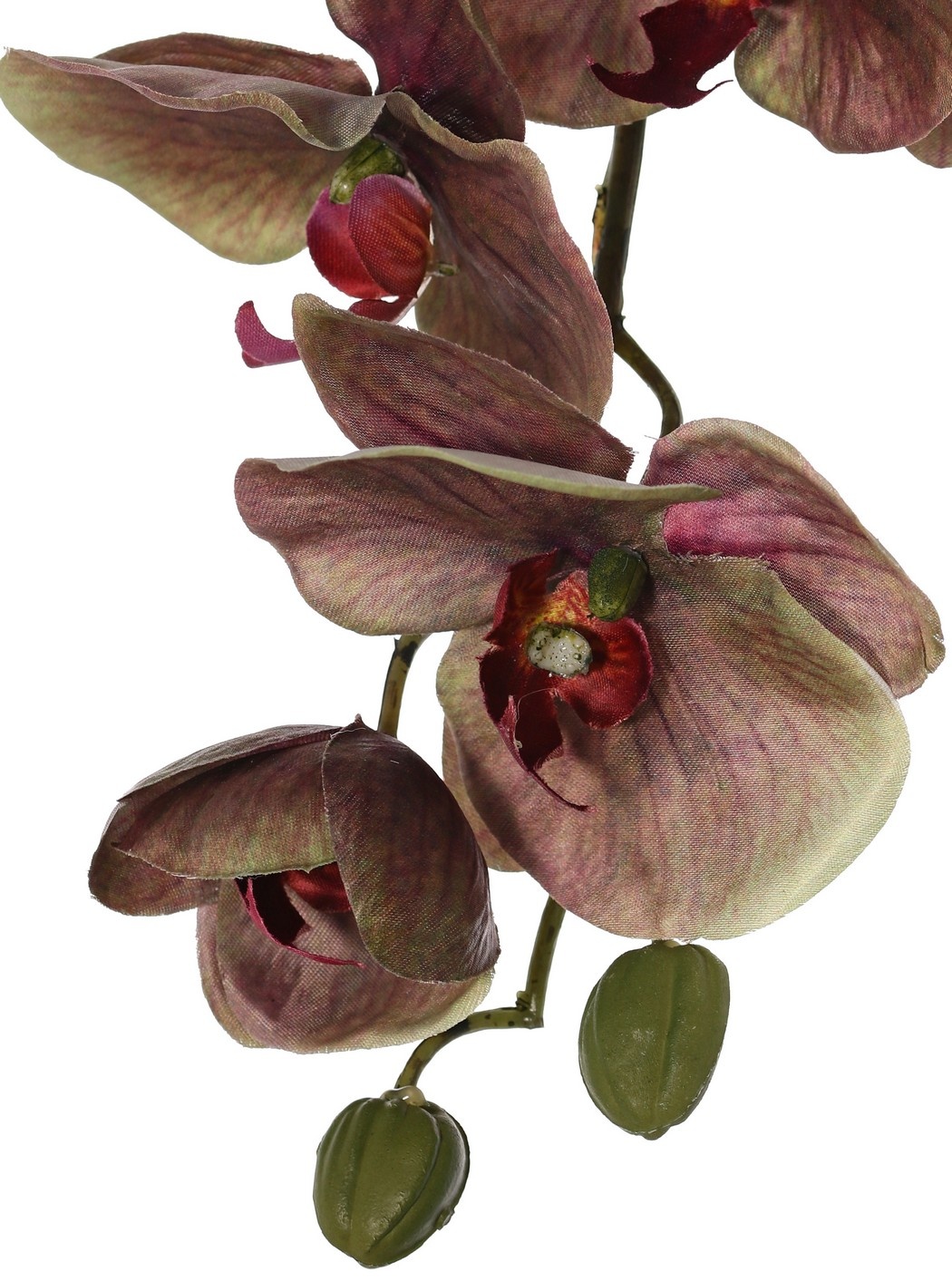 Phalaenopsis 'Indy' with 6 polyester flowers, 1 flower bud & 2 plastic buds, 80 cm