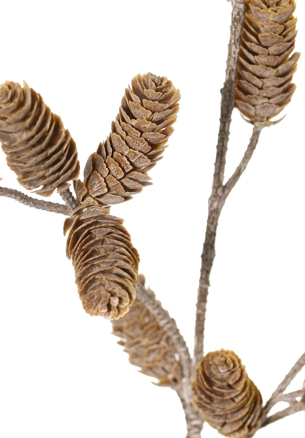 Pine Cone Branch 'Indy' 3x branched, with 14 plastic pine cones, whitewash, 75 cm