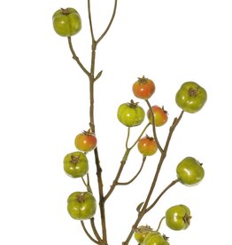 Appeltak 'crab apple', met 15 polyfoam appeltjes (5L/ 4M/ 6S), 58 cm