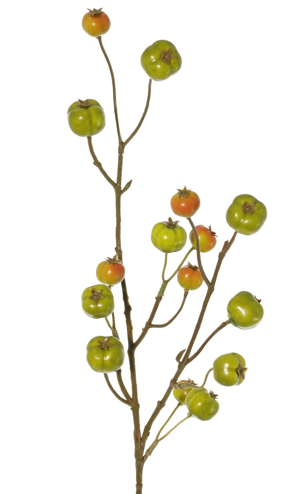 Apple branch 'crab apple', with 15 polyfoam apples (5L/ 4M/ 6S), 58 cm
