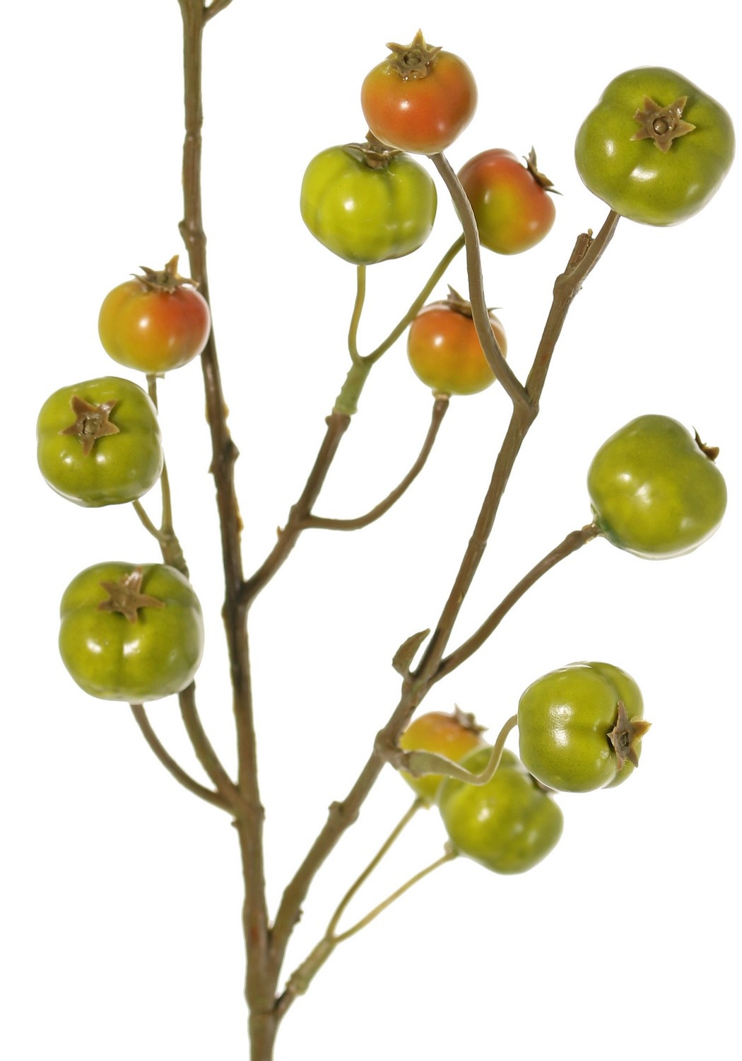 Apple branch 'crab apple', with 15 polyfoam apples (5L/ 4M/ 6S), 58 cm
