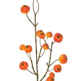 Apfelzweig 'Holzapfel', mit 15 Polyfoam-Äpfeln (5L/ 4M/ 6S), 58 cm