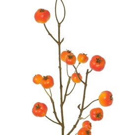 Apfelzweig 'Holzapfel', mit 15 Polyfoam-Äpfeln (5L/ 4M/ 6S), 58 cm