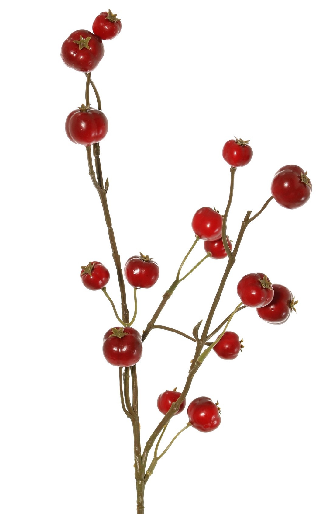 Apfelzweig 'Holzapfel', mit 15 Polyfoam-Äpfeln (5L/ 4M/ 6S), 58 cm