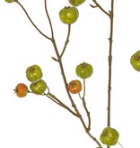Apfelzweig 'Holzapfel', mit 26 Polyfoam-Äpfeln (9L/ 9M/ 8S), 88 cm