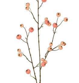 Apfelzweig 'Holzapfel', mit 26 Polyfoam-Äpfeln (9L/ 9M/ 8S), 88 cm