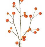 Apfelzweig 'Holzapfel', mit 26 Polyfoam-Äpfeln (9L/ 9M/ 8S), 88 cm