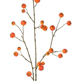 Apfelzweig 'Holzapfel', mit 26 Polyfoam-Äpfeln (9L/ 9M/ 8S), 88 cm
