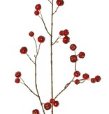 Apfelzweig 'Holzapfel', mit 26 Polyfoam-Äpfeln (9L/ 9M/ 8S), 88 cm