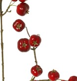 Apfelzweig 'Holzapfel', mit 26 Polyfoam-Äpfeln (9L/ 9M/ 8S), 88 cm