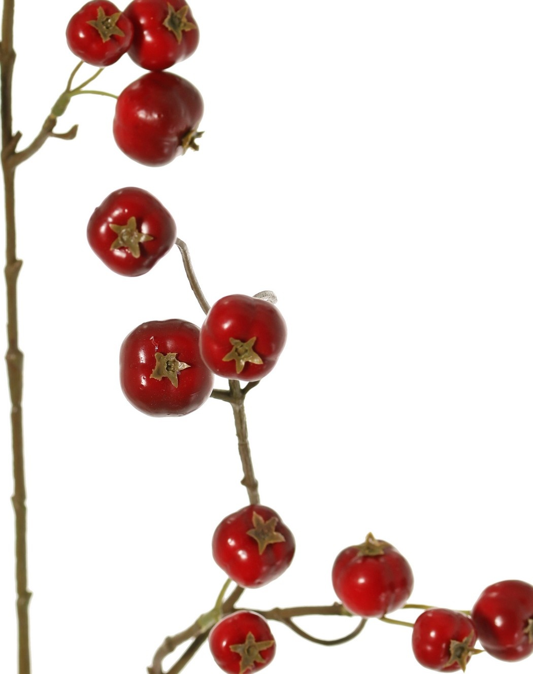 Apfelzweig 'Holzapfel', mit 26 Polyfoam-Äpfeln (9L/ 9M/ 8S), 88 cm