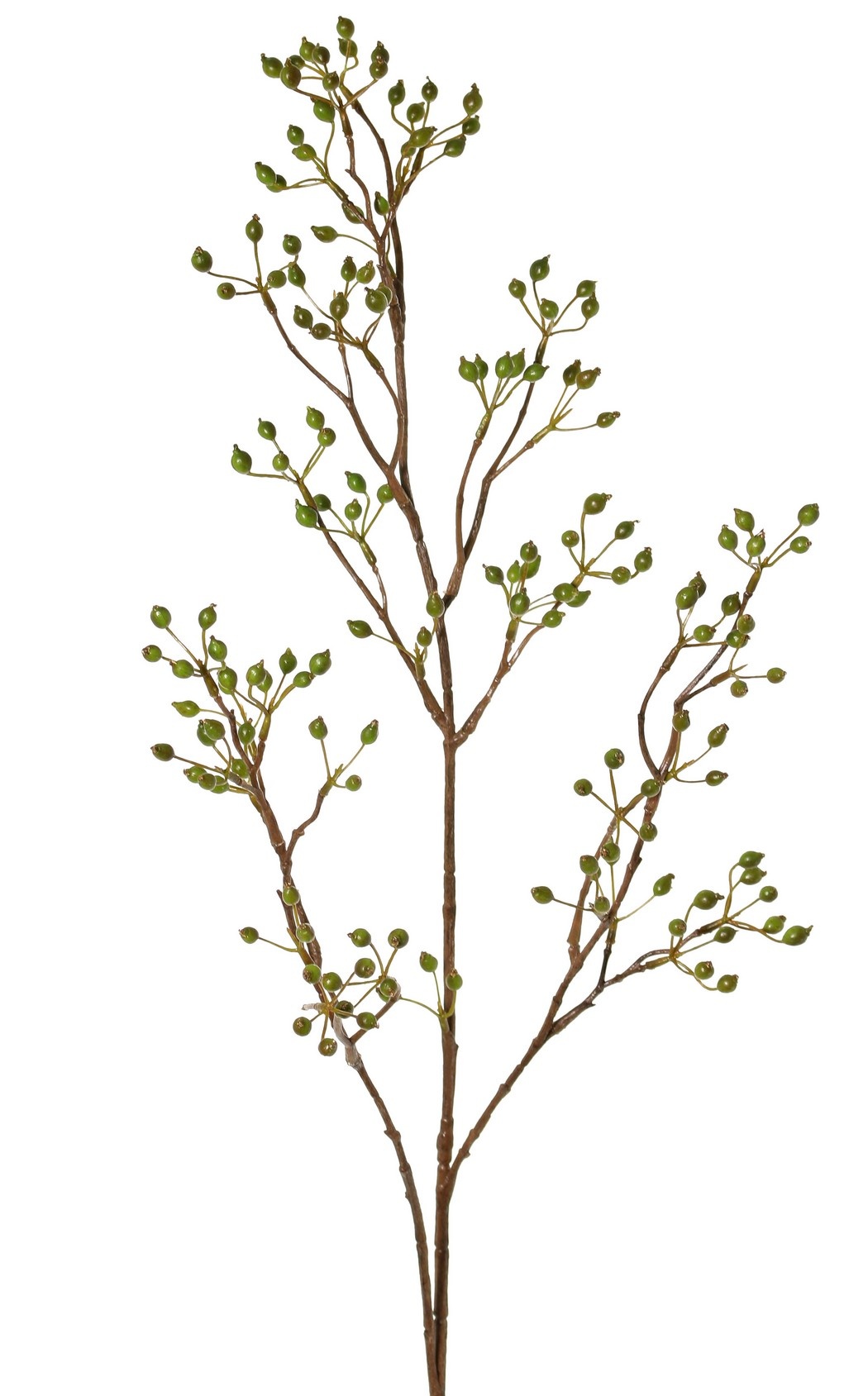 Hagebuttenzweig Mini, mit 155 Früchten, 100 cm