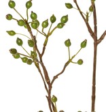 Hagebuttenzweig Mini, mit 155 Früchten, 100 cm