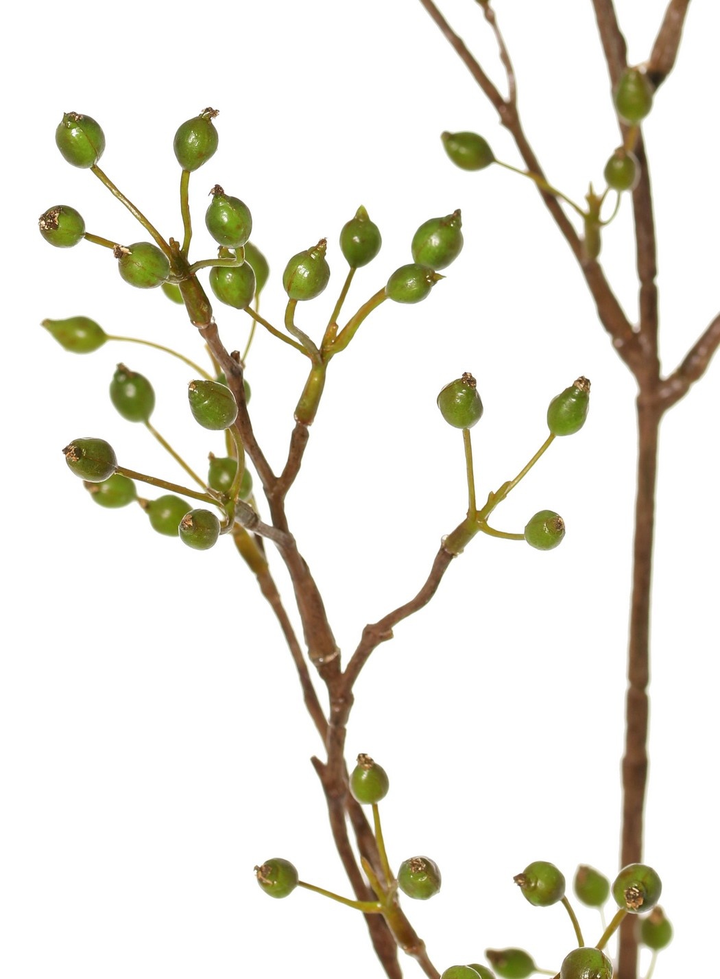 Rama de escaramujo mini, con 155 frutos, 100 cm