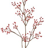 Hagebuttenzweig Mini, mit 155 Früchten, 100 cm