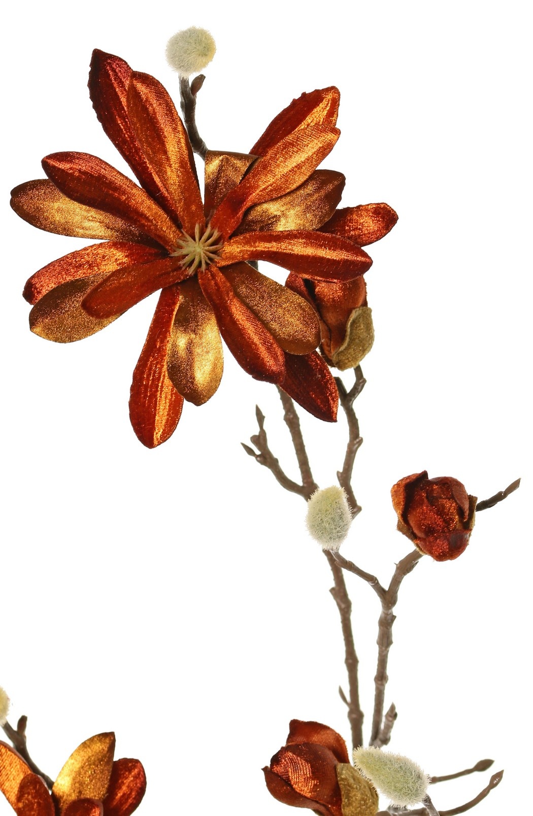 Magnolia terciopelo 'Glamour' con 3 flores (Ø 10 cm), 4 capullos y 4 capullos naturales, 88 cm