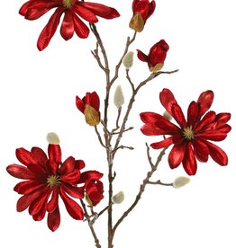 Magnolia velvet 'Glamour' with 3 flrs (Ø 10 cm), 4 flr bud & 4 natural buds, 88cm