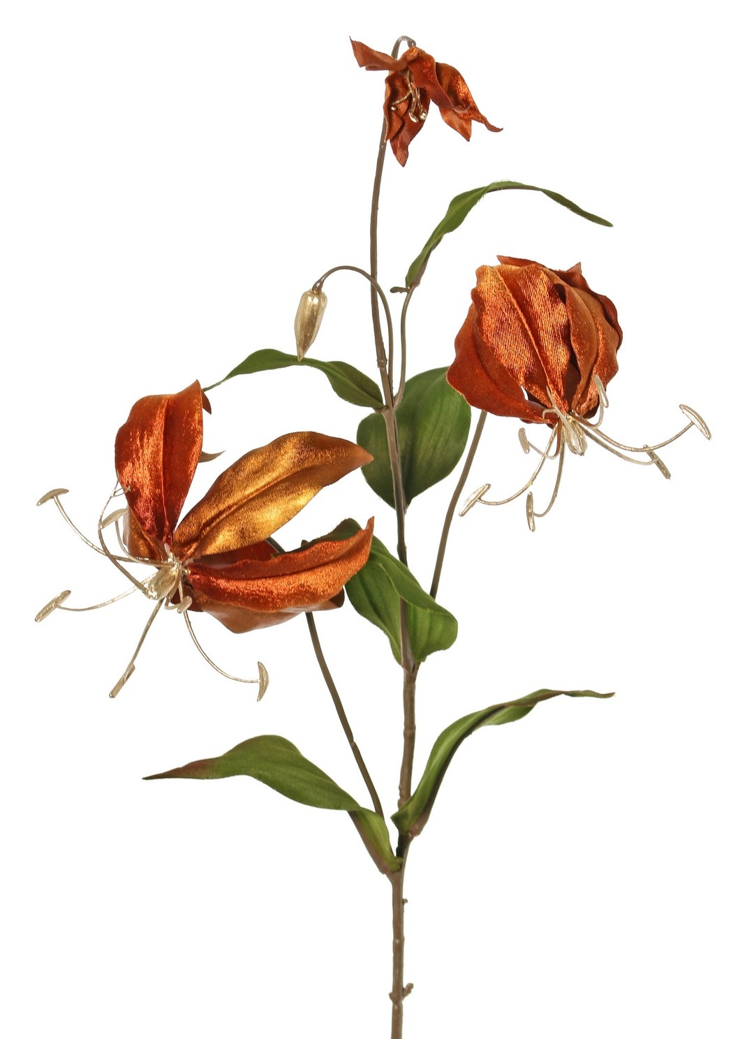 Gloriosa lily, velvet, 'Glamour' with 2 flrs, 1 flr bud (golden stamen) & 1 golden bud & 6 leaves 80 cm