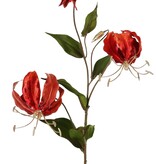 Lilie Gloriosa , Samt, 'Glamour' mit 2 Blüten, 1 Blütenknospe (goldenes Staubblatt) & 1 goldene Knospe & 6 Blättern 80 cm